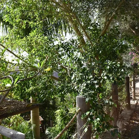 Romantica Bed & Breakfast 4*
