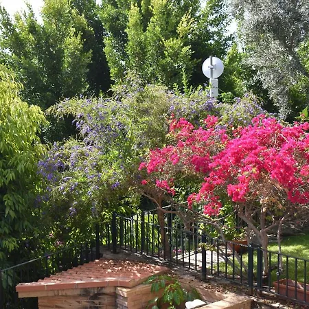 Bed & Breakfast Romantica 4*