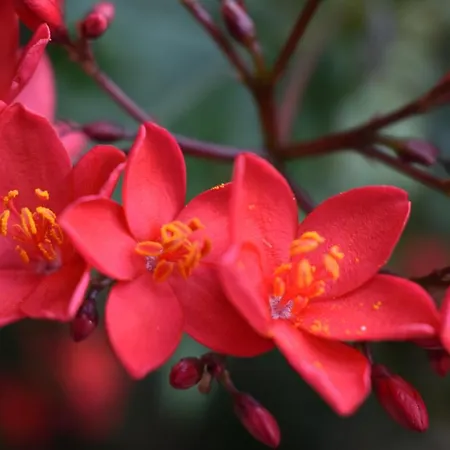 Romantica Bed & Breakfast San Bartolome de Tirajana (Gran Canaria)