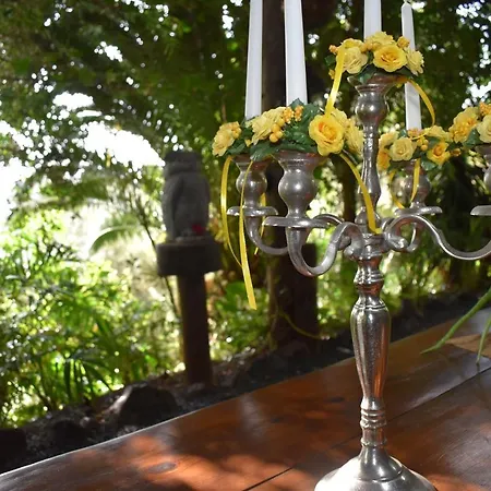 Bed & Breakfast Romantica *