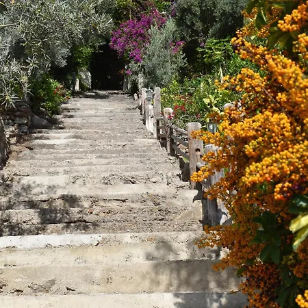 Romantica Bed & Breakfast San Bartolome de Tirajana (Gran Canaria)