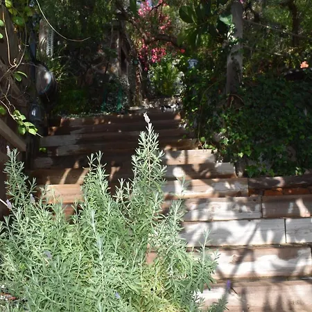 Bed & Breakfast Romantica San Bartolome de Tirajana (Gran Canaria)