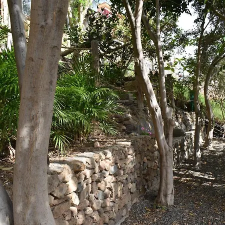 Romantica San Bartolome de Tirajana (Gran Canaria)