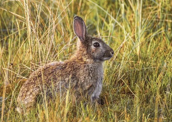 Alojamento de Acomodação e Pequeno-almoço Romantica San Bartolomé