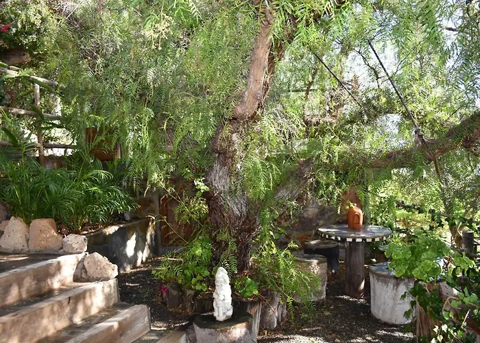 Alojamento de Acomodação e Pequeno-almoço Romantica 4*