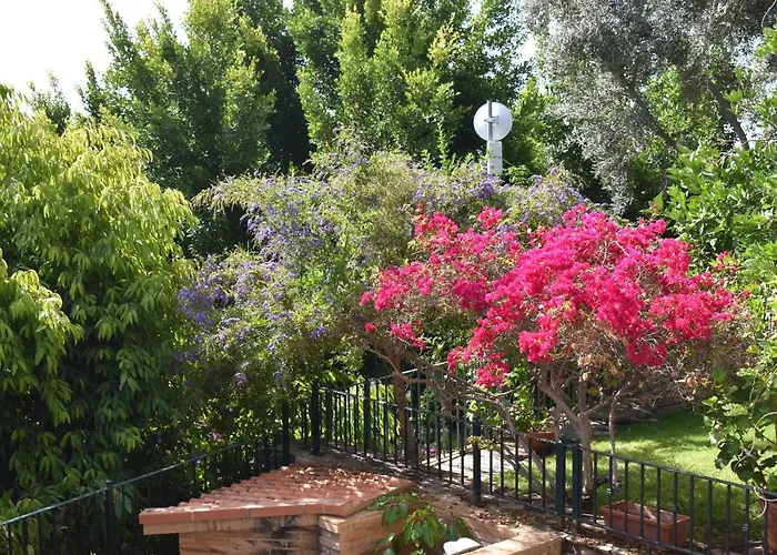 Alojamento de Acomodação e Pequeno-almoço Romantica 4*