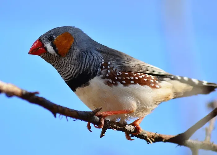 Alojamento de Acomodação e Pequeno-almoço Romantica San Bartolomé