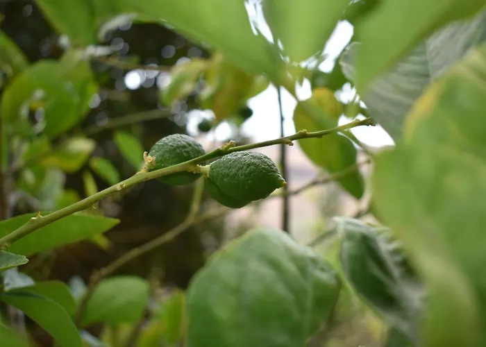 Romantica Alojamento de Acomodação e Pequeno-almoço San Bartolomé