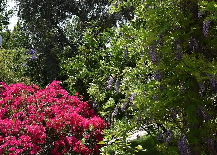 Alojamento de Acomodação e Pequeno-almoço Romantica