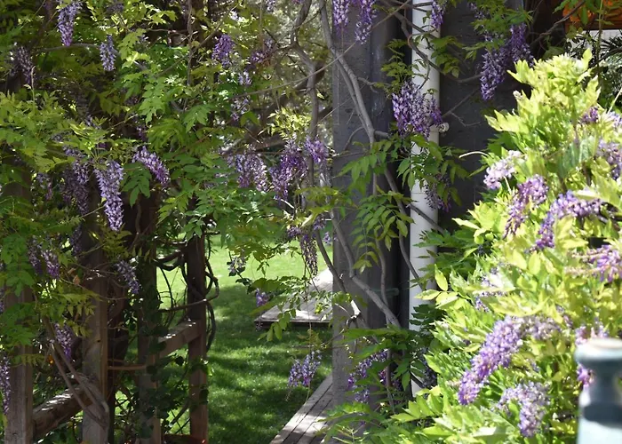 Romantica 4* San Bartolomé