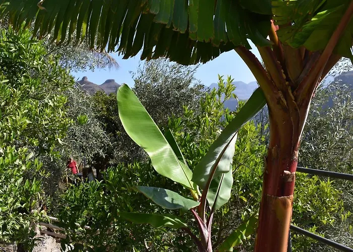 Alojamento de Acomodação e Pequeno-almoço Romantica