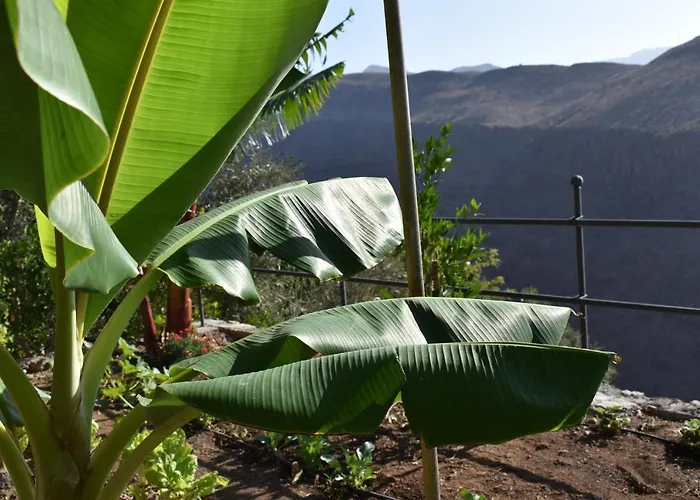 Romantica Alojamento de Acomodação e Pequeno-almoço