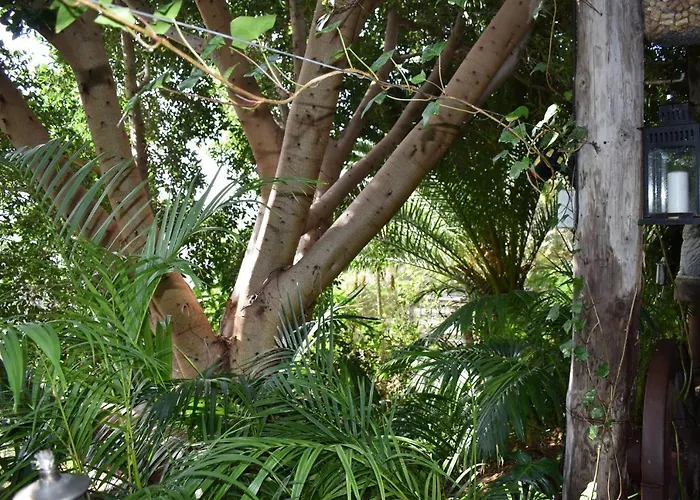 Romantica Alojamento de Acomodação e Pequeno-almoço San Bartolomé