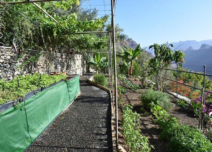 Alojamento de Acomodação e Pequeno-almoço Romantica