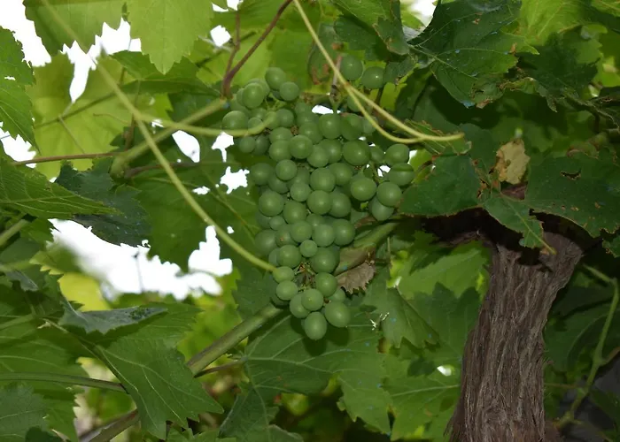 Romantica San Bartolomé