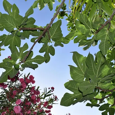 Romantica Bed and breakfast San Bartolomé