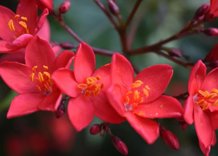 Romantica Nocleg ze śniadaniem San Bartolomé