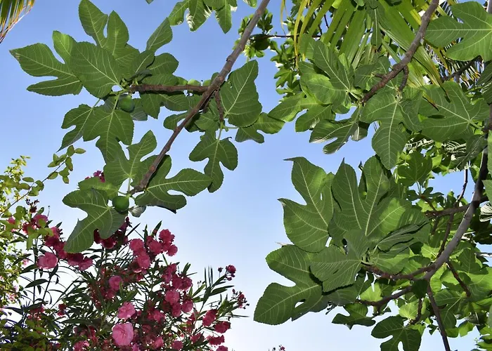 Romantica Bed & Breakfast San Bartolomé