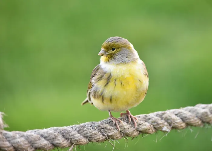 Romantica San Bartolomé